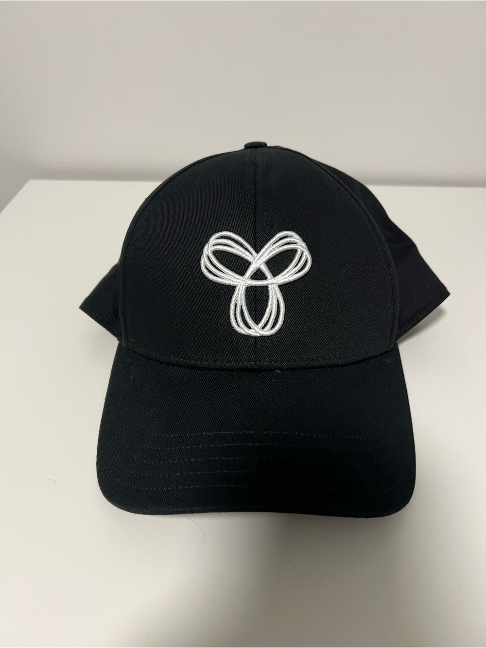 Aritzia TNA Hat